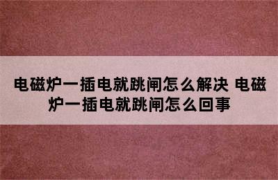 电磁炉一插电就跳闸怎么解决 电磁炉一插电就跳闸怎么回事